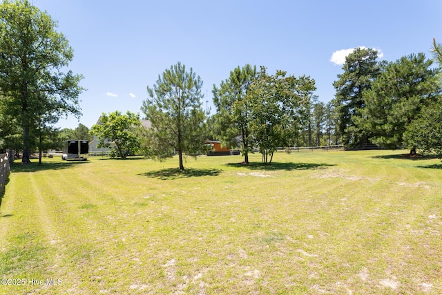 111 Pinelands Vis, Jackson Springs, NC 27281 - view of yard
