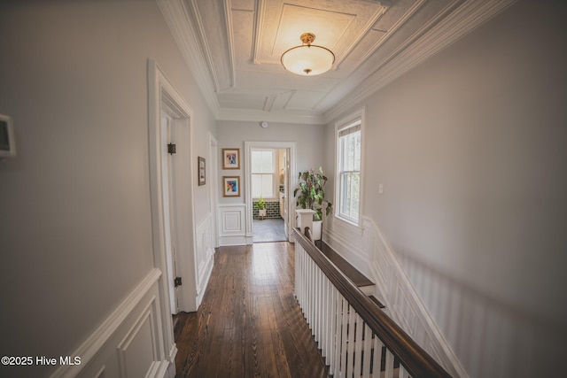 1309 N Pasteur St, New Bern, NC 28560 - hallway with dark wood-type flooring, attic access, a wainscoted wall, a decorative wall, and ornamental molding