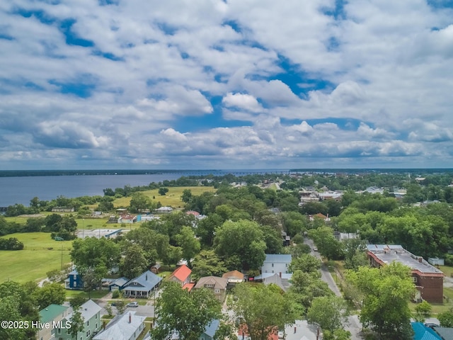 1309 N Pasteur St, New Bern, NC 28560 - bird's eye view of a nearby body of water and a tree filled landscape