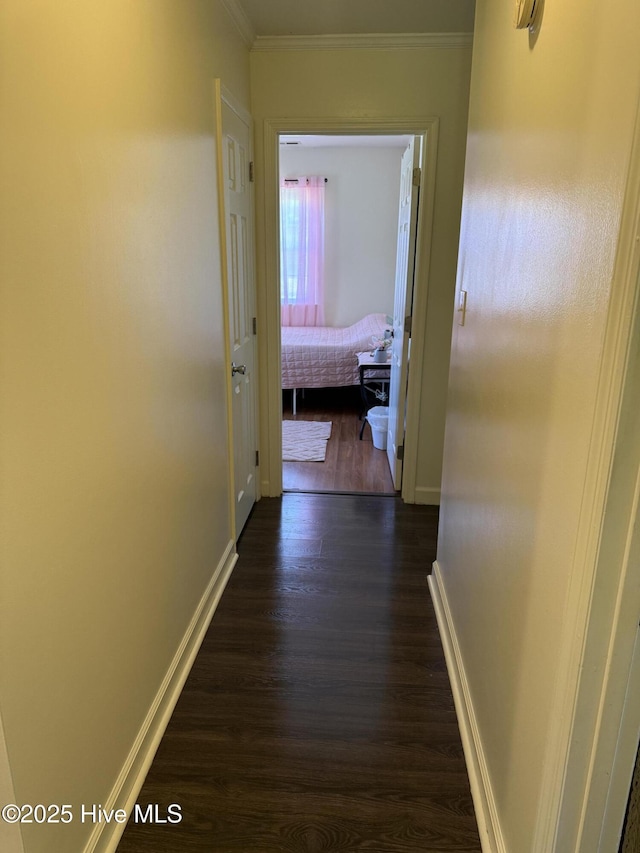 1164 Hibbs Rd, Newport, NC 28570 - corridor featuring dark wood-style floors, crown molding, and baseboards