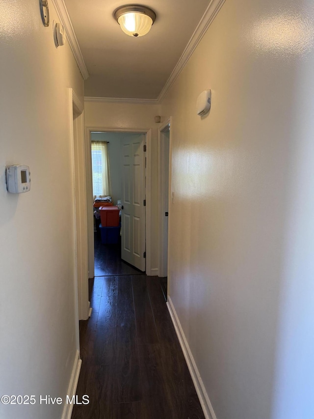 1164 Hibbs Rd, Newport, NC 28570 - corridor featuring crown molding, dark wood-type flooring, and baseboards
