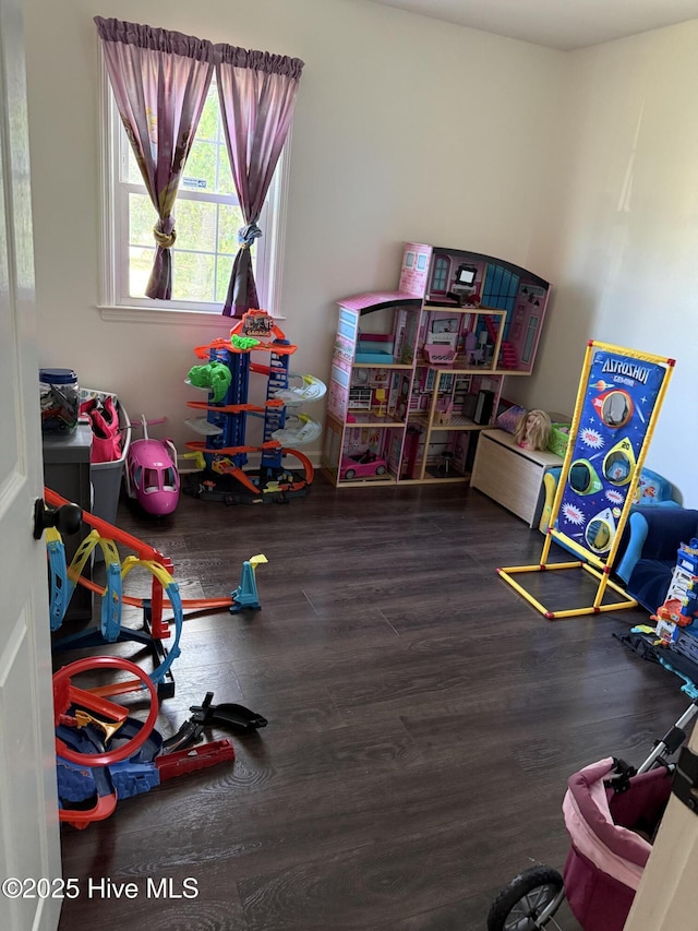 1164 Hibbs Rd, Newport, NC 28570 - recreation room with wood finished floors