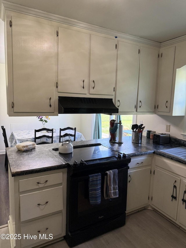 1164 Hibbs Rd, Newport, NC 28570 - kitchen with black / electric stove, wood finished floors, under cabinet range hood, white cabinetry, and a sink