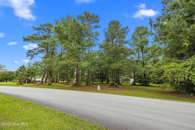 210 Winding Woods Way Unit 3 & 4, Beaufort, NC 28516