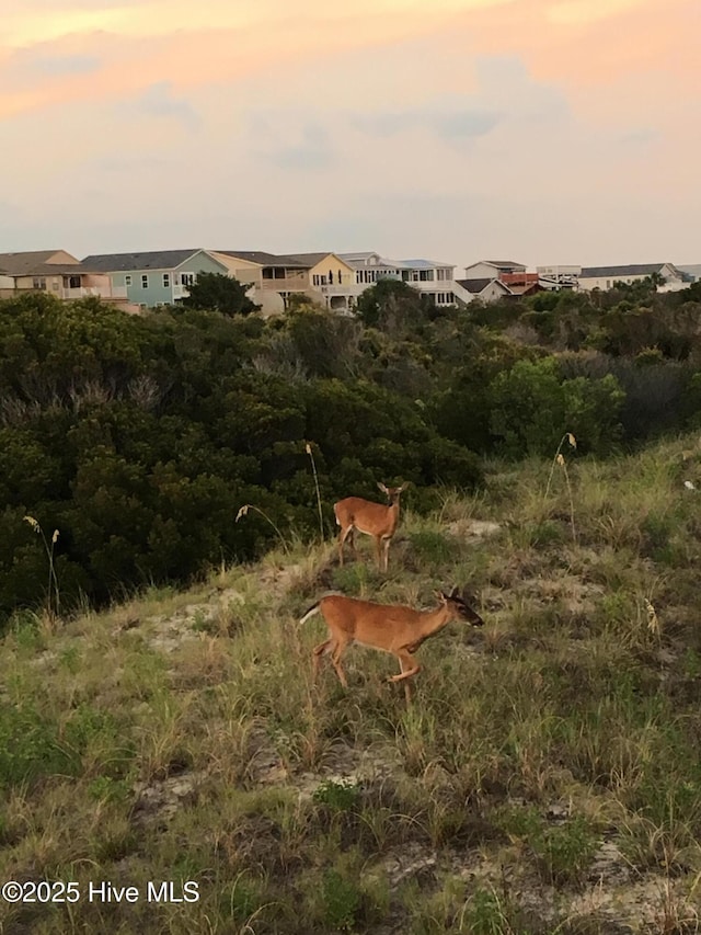 7000 Sevilleen Dr SW, Ocean Isle Beach, NC 28469 - view of yard at dusk