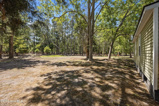 10378 Neuse Rd, Grantsboro, NC 28529 - view of yard