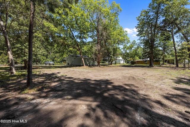 10378 Neuse Rd, Grantsboro, NC 28529 - view of yard