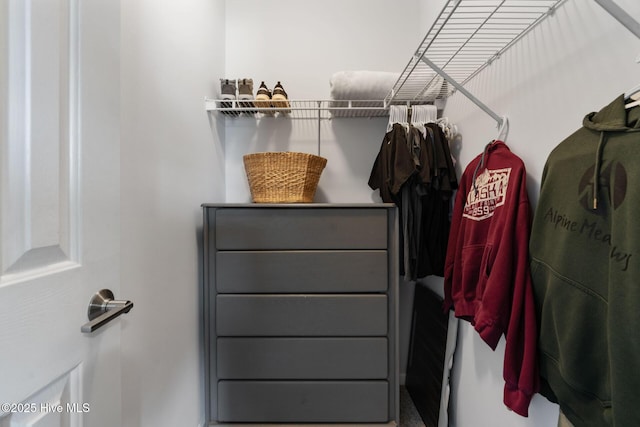 2824 Sapling Cir, Wilmington, NC 28411 - view of walk in closet