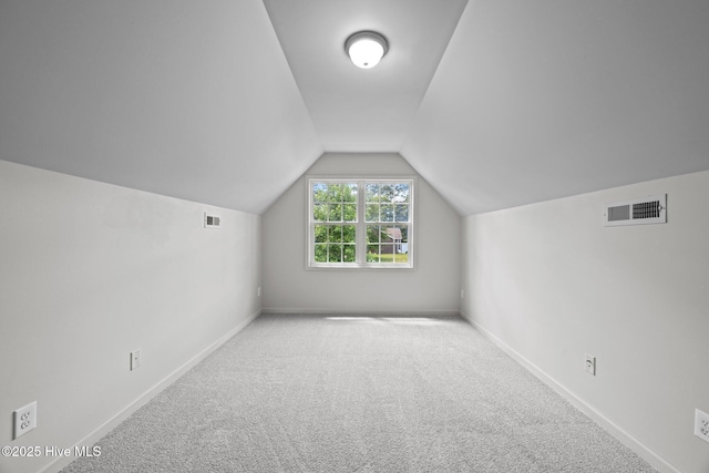 301 Haws Run Rd, Jacksonville, NC 28540 - additional living space with carpet flooring, lofted ceiling, and baseboards