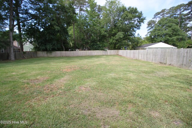 114 Pinecone Ln, Havelock, NC 28532 - view of yard