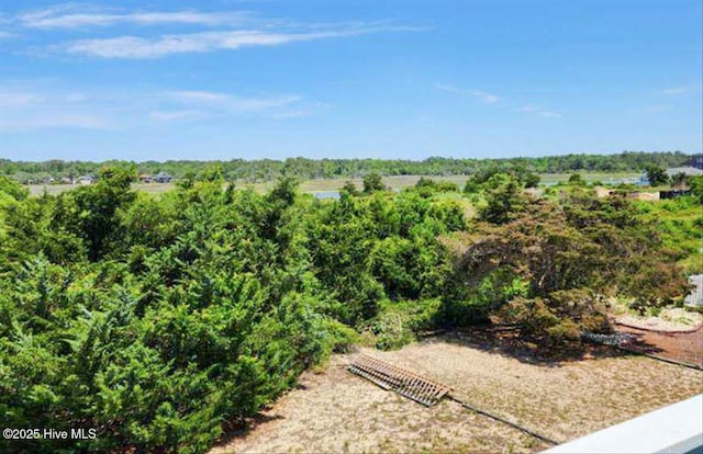 256 Brunswick Ave W Unit A, Holden Beach, NC 28462 - view of yard