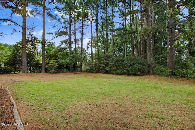 103 Sawgrass Pl, Goldsboro, NC 27534 - view of grassy yard