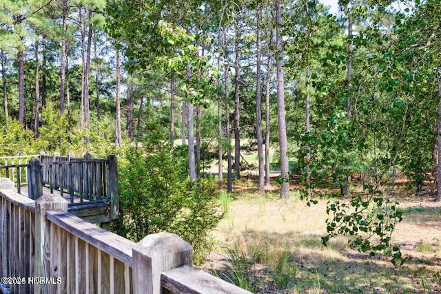 549 Lucas Rd, West End, NC 27376 - view of yard