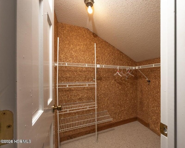 549 Lucas Rd, West End, NC 27376 - spacious closet with vaulted ceiling and carpet floors