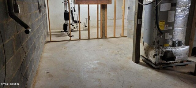 549 Lucas Rd, West End, NC 27376 - unfinished below grade area with concrete block wall