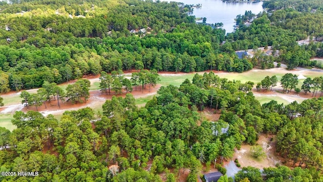 549 Lucas Rd, West End, NC 27376 - aerial overview of property's location featuring a heavily wooded area and a large body of water
