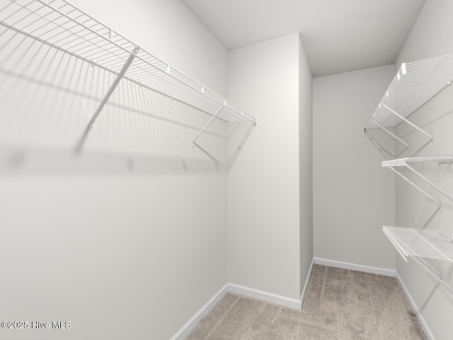 159 Legare St Lot 250, Wilmington, NC 28411 - walk in closet featuring carpet floors