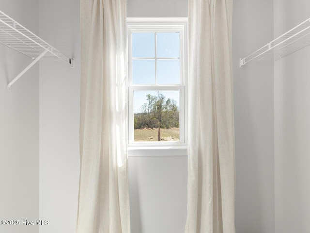 159 Legare St Lot 250, Wilmington, NC 28411 - view of walk in closet
