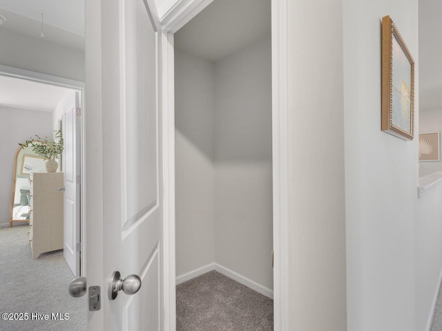 159 Legare St Lot 250, Wilmington, NC 28411 - hallway featuring carpet, baseboards, and attic access