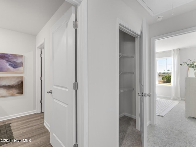 159 Legare St Lot 250, Wilmington, NC 28411 - view of closet