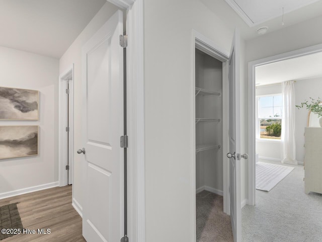 159 Legare St Lot 250, Wilmington, NC 28411 - view of closet