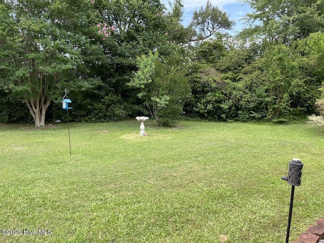 5707 Mossberg Ct, Wilmington, NC 28405 - view of green lawn