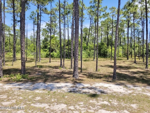 3066 Moss Hammock Wynd Unit 25, Southport, NC 28461