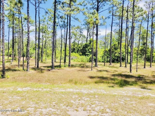 3066 Moss Hammock Wynd Unit 25, Southport, NC 28461