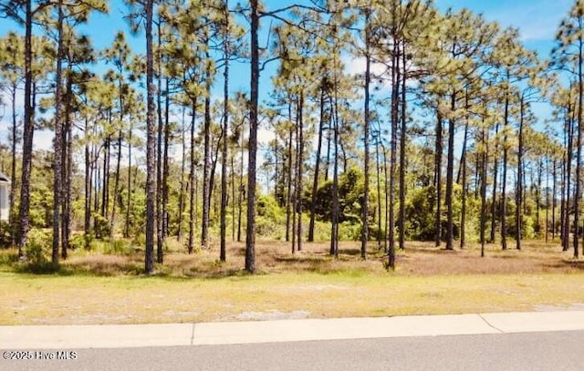 3066 Moss Hammock Wynd Unit 25, Southport, NC 28461
