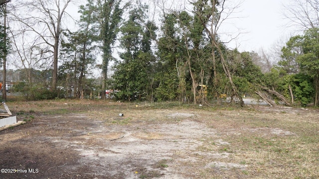 216 S Tillery St, Rocky Mount, NC 27804 - view of yard