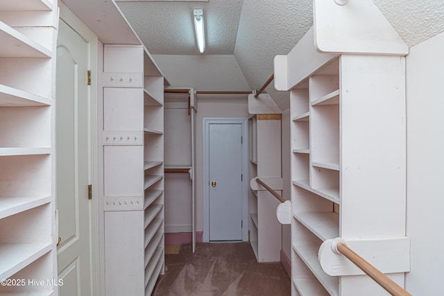 102 Plantation Rd, Goldsboro, NC 27530 - spacious closet with carpet floors