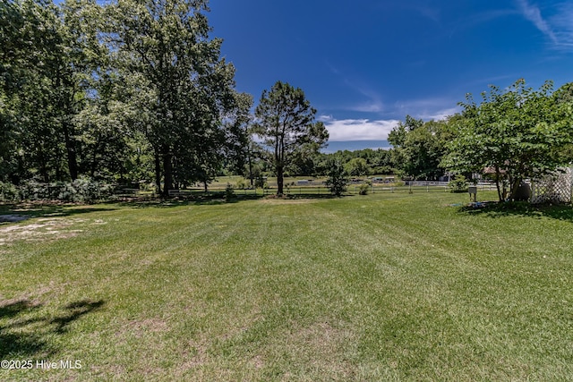 102 Plantation Rd, Goldsboro, NC 27530 - view of yard