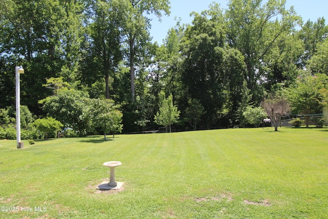 206 Stratford Rd, Havelock, NC 28532 - view of green lawn