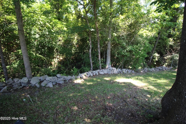 206 Stratford Rd, Havelock, NC 28532 - view of green lawn featuring a forest view