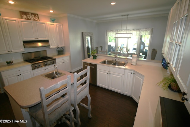 141 N River Rd, Plymouth, NC 27962 - kitchen featuring a sink, under cabinet range hood, crown molding, recessed lighting, and dark wood-style floors