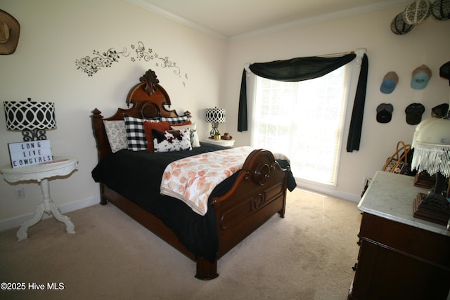 141 N River Rd, Plymouth, NC 27962 - bedroom with light colored carpet, ornamental molding, and baseboards