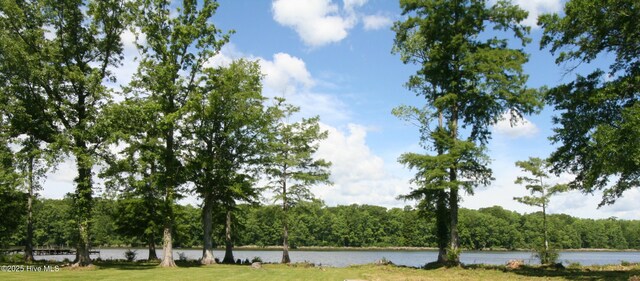 141 N River Rd, Plymouth, NC 27962 - view of home's community featuring a water view and a forest view