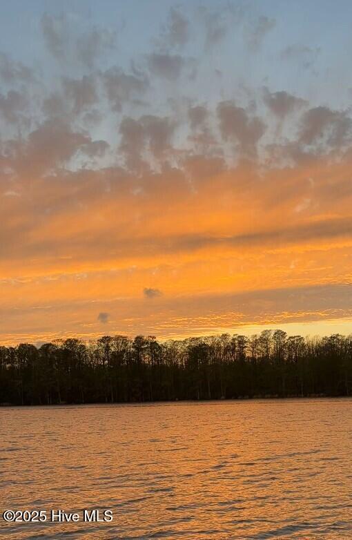 141 N River Rd, Plymouth, NC 27962 - water view