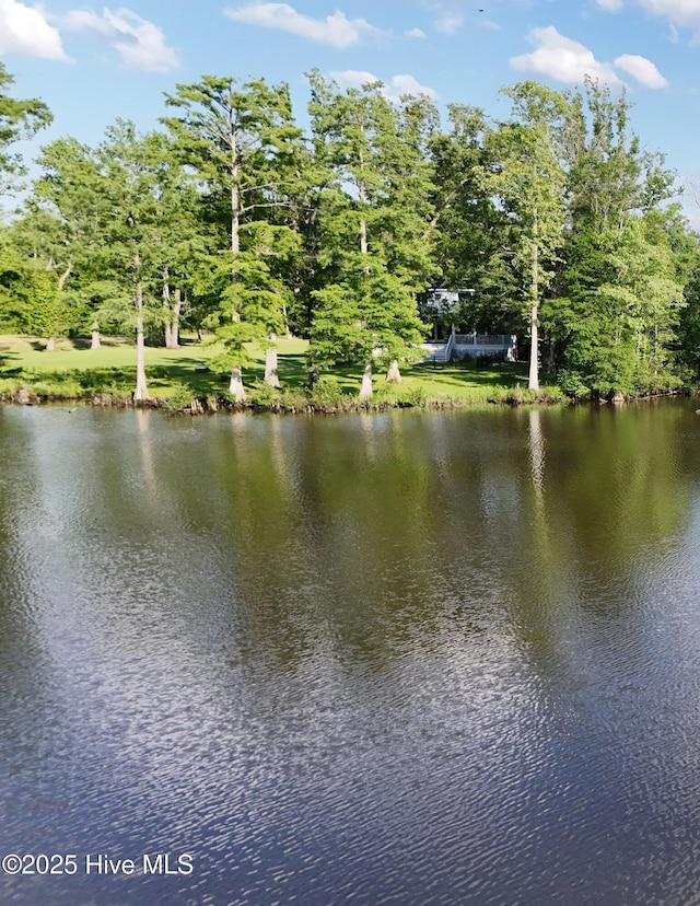 141 N River Rd, Plymouth, NC 27962 - water view
