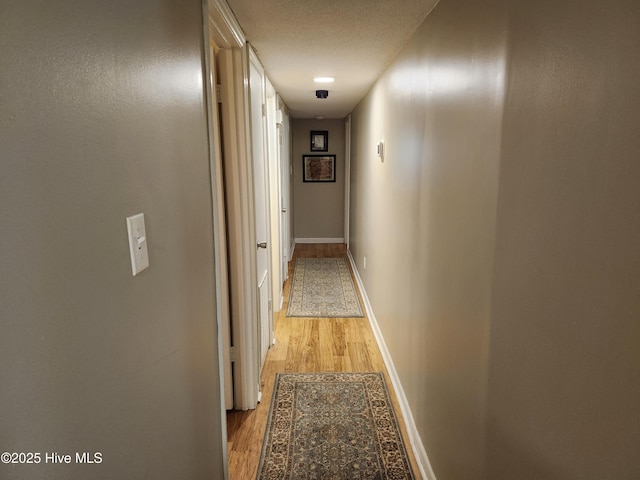 1108 Plymouth Dr, New Bern, NC 28562 - corridor with light wood-type flooring and baseboards