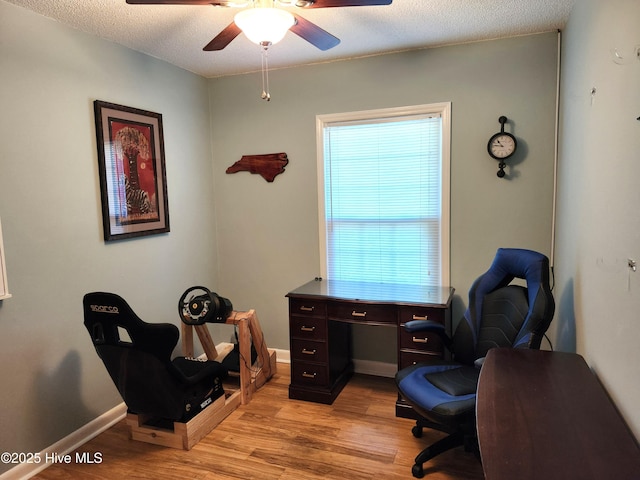 1108 Plymouth Dr, New Bern, NC 28562 - office with light wood finished floors, ceiling fan, baseboards, and a textured ceiling