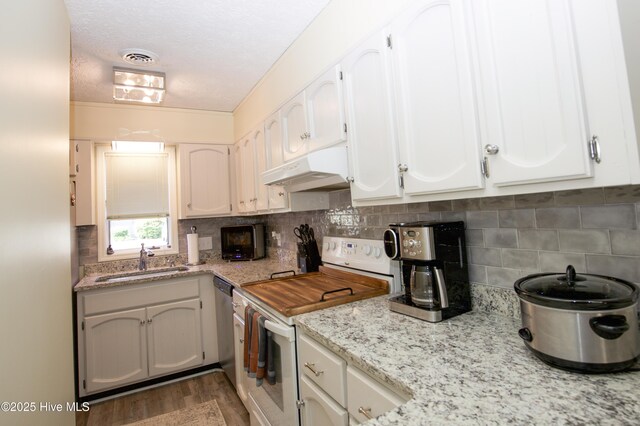 940 Linden Rd Unit 19, Pinehurst, NC 28374 - kitchen featuring white electric stove, under cabinet range hood, a sink, dishwasher, and decorative backsplash