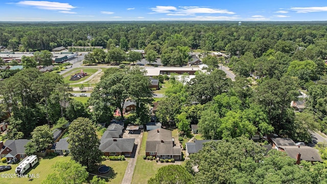 1606 Palm St, Goldsboro, NC 27530 - aerial perspective of suburban area with a forest