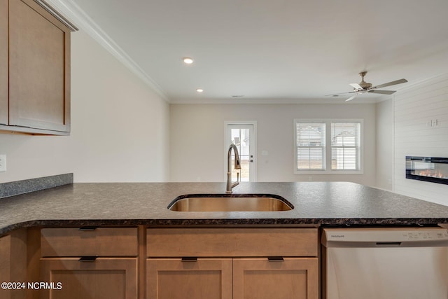 2133 Kali Ln Unit A, Greenville, NC 27834 - kitchen with stainless steel dishwasher, a sink, ornamental molding, ceiling fan, and a fireplace