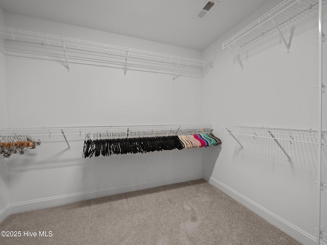 608 Creek Ct, Swansboro, NC 28584 - spacious closet with carpet flooring