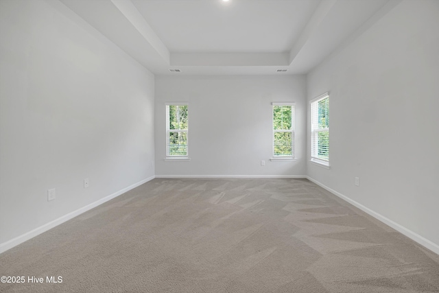 6437 Twinspur Ct SW, Ocean Isle Beach, NC 28469 - spare room featuring light colored carpet and a raised ceiling