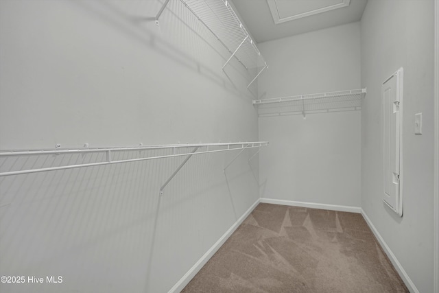 6437 Twinspur Ct SW, Ocean Isle Beach, NC 28469 - walk in closet featuring carpet and attic access