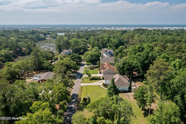 1682 Gores Landing Rd SW, Ocean Isle Beach, NC 28469 - bird's eye view of a heavily wooded area
