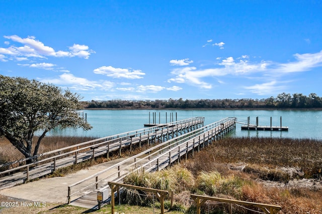 1682 Gores Landing Rd SW, Ocean Isle Beach, NC 28469 - dock area with a water view
