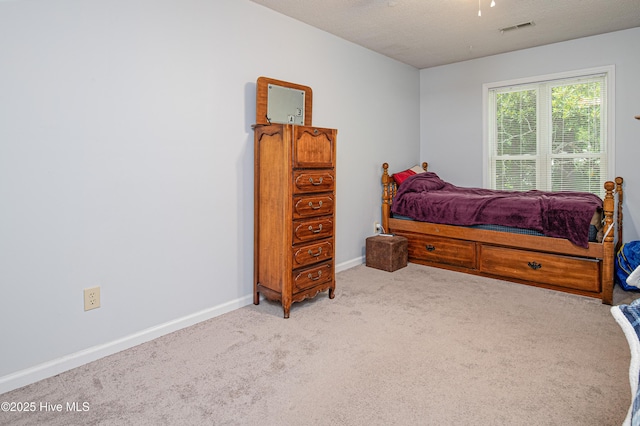 923 Persimmon Pl, Winterville, NC 28590 - bedroom featuring carpet floors, baseboards, and a ceiling fan